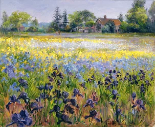 Iris en Twee Dennenbomen, 1993